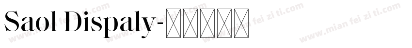 Saol Dispaly字体转换